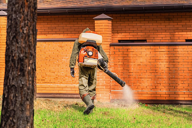 Top rated local Mosquito Control specialists in Portage Lakes, OH
